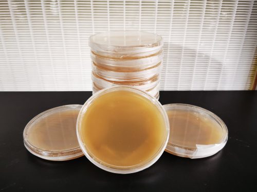 Pre-poured agar petri dishes