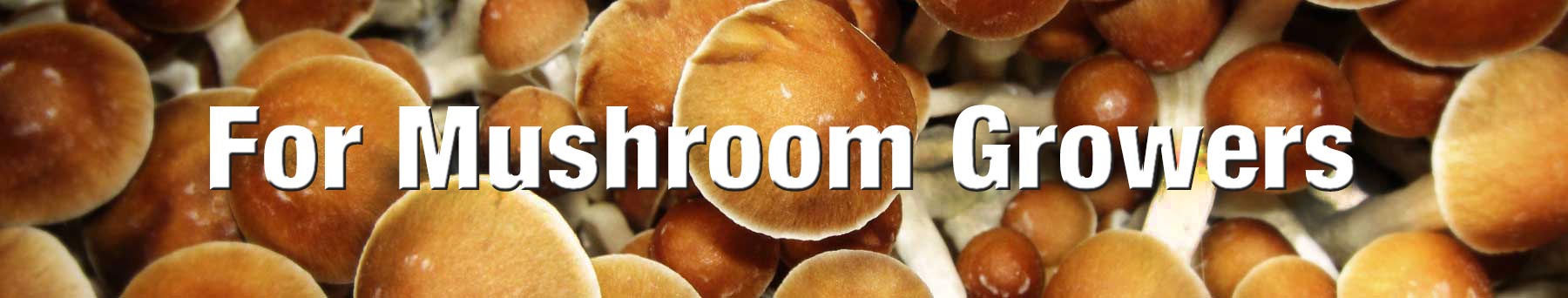 Mushroom Kits, for Mushroom Growers