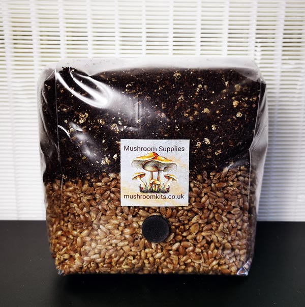 Unicorn 10T spawn mushroom bags Mushroom Kits