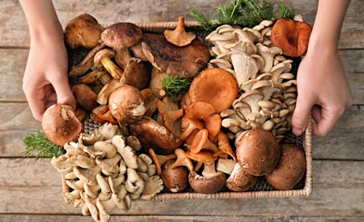 Mushrooms for the table