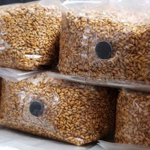 product guides - sterilised rye grain