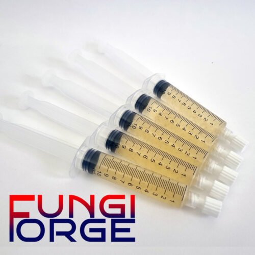 Mushroom liquid culture